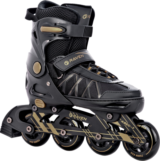 
RAVEN, 
Expert, 
Detail 1
