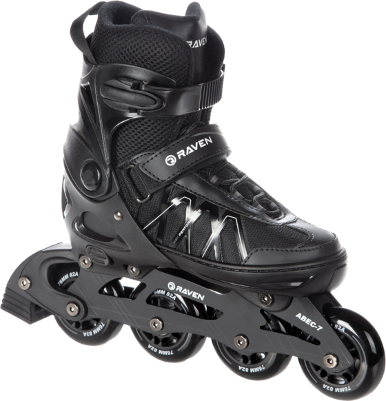 
RAVEN, 
Expert, 
Detail 1
