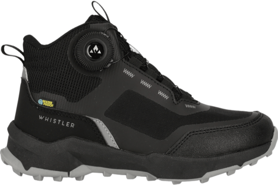 
WHISTLER, 
Gango, 
Detail 1
