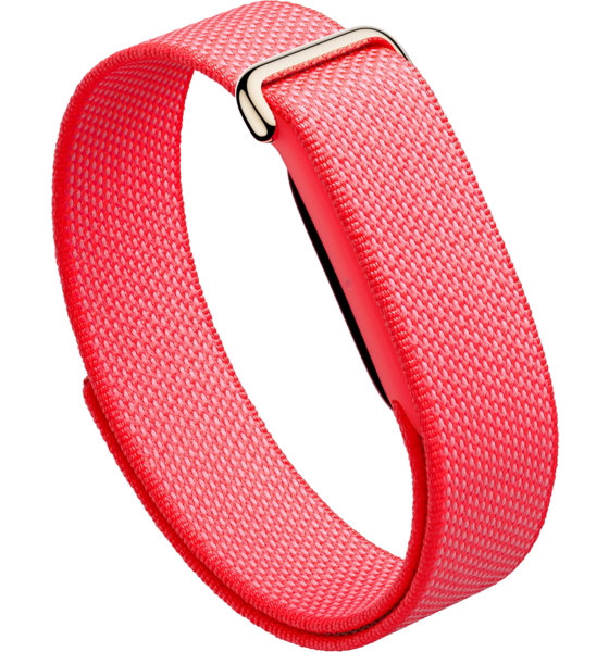 
GOOGLE FITBIT, 
Google Fitbit Air, EU, 
Detail 1
