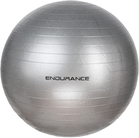 
ENDURANCE, 
Gym Ball Gym Ball, 
Detail 1
