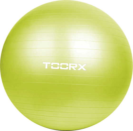 
TOORX, 
Gymball 65 Cm., 
Detail 1
