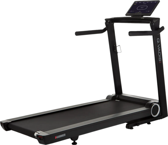 
HAMMER, 
Hammer Q. Vadis 10.0, 
Detail 1
