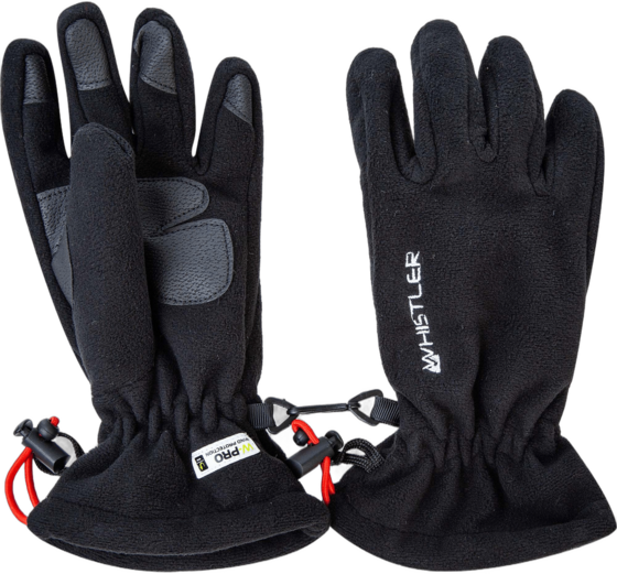 
WHISTLER, 
Hastings Gloves, 
Detail 1
