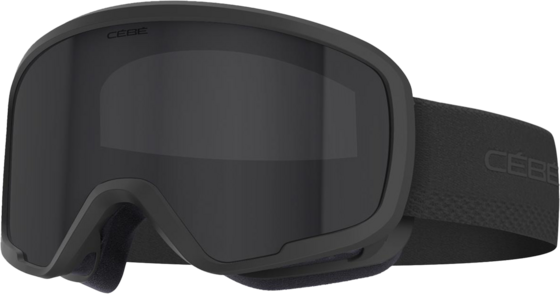 
CEBE, 
Hoopoe 2, 
Detail 1
