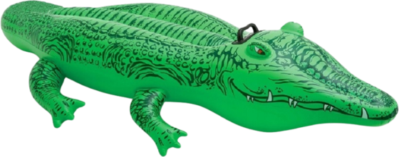 
INTEX, 
Inflatable Alligator Mattress For Swimming 168cm, 
Detail 1
