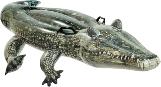 
INTEX, 
Inflatable Crocodile Swimming Mattress 171 Cm Intex 57551, 
Detail 1
