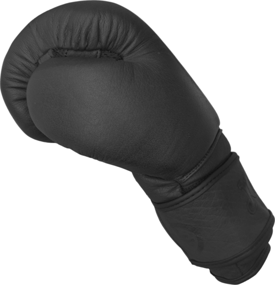 JOYA, Joya Fight Fast Boxing Gloves Black 12 Oz