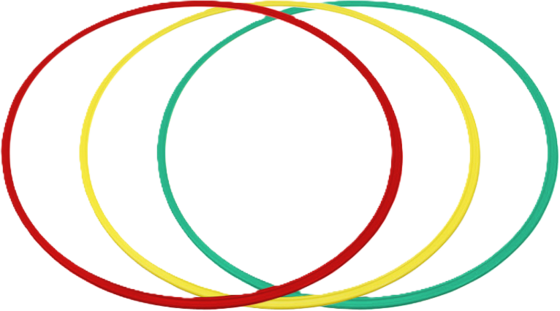 
PRO MATCH, 
Koordinationsringar, 
Detail 1
