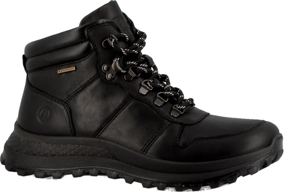 
AXELDA, 
Lacave Wp, 
Detail 1
