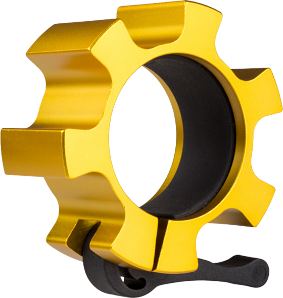 
NORTHIX, 
Lock Jaw Collars, Gold, 2 Pcs, 
Detail 1
