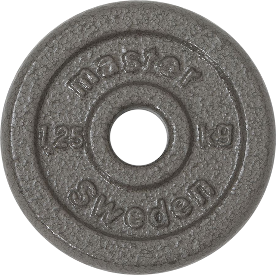 
MASTER FITNESS, 
Master Fitness Skolvikt 25 Mm, Viktskivor J&auml;rn, 
Detail 1
