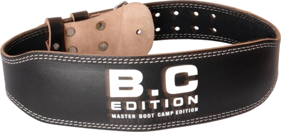 
MASTER FITNESS, 
Master Fitness Tr&auml;ningsb&auml;lte, 
Detail 1
