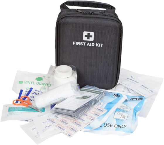 
PROLINE, 
Medical Bag W/content, 
Detail 1
