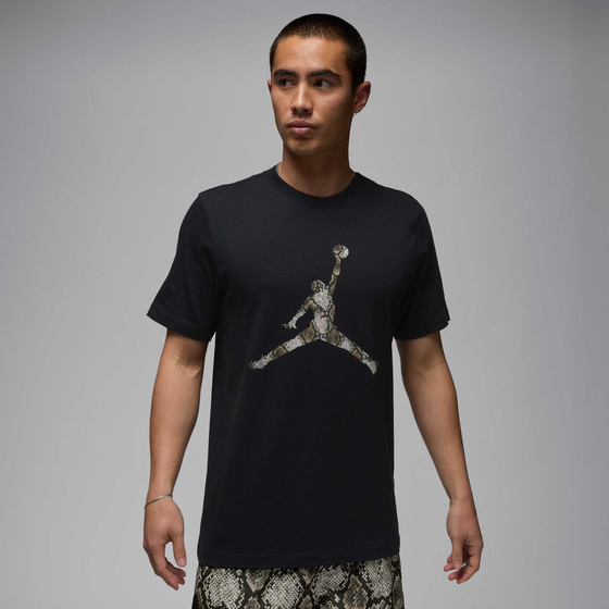 946378101102 JORDAN Men's Dri-fit T-shirt Jordan Sport  Model01 Detail