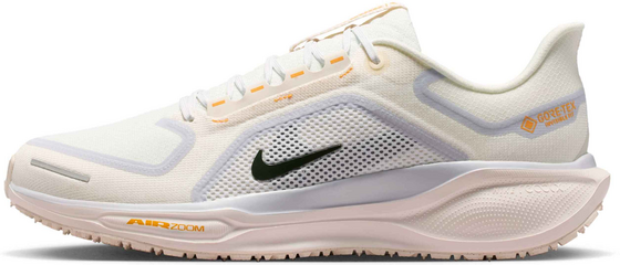 
NIKE, 
Men's Waterproof Road Running Shoes Pegasus 41 Gore-tex, 
Detail 1
