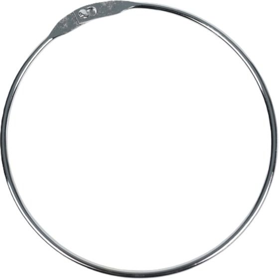 
PROLINE, 
Metallring, 
Detail 1
