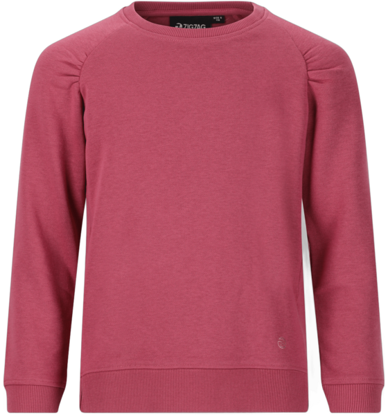 956387102101 ZIGZAG Nadya Sweatshirt  Standard Detail