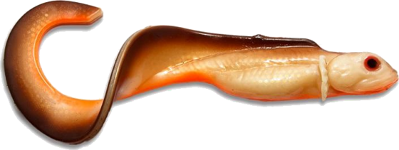 
NETTEL BAITS, 
Nettel Baits Nettel Laken Dirty Roach 28cm, 75gr, 
Detail 1
