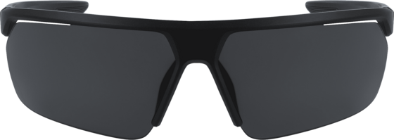 
NIKE, 
Nike Gale Force, 
Detail 1
