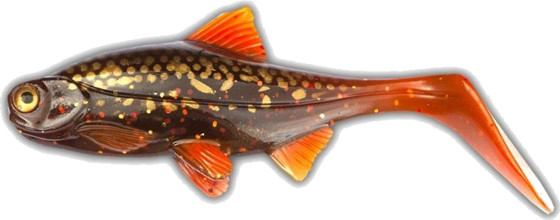 
OLA LURES, 
Ola Lures Hooligan Roach Jr Motor Pike 15cm 45gr, 
Detail 1
