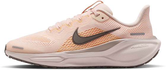 933209121101 NIKE Older Kids' Road Running Shoes Pegasus 41  Standard Detail