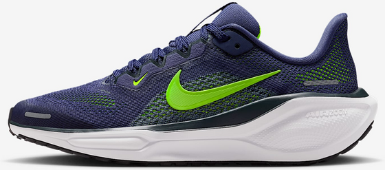 933209118101 NIKE Older Kids' Road Running Shoes Pegasus 41  Standard Detail