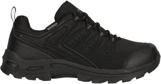 
WHISTLER, 
Pinacle, 
Detail 1
