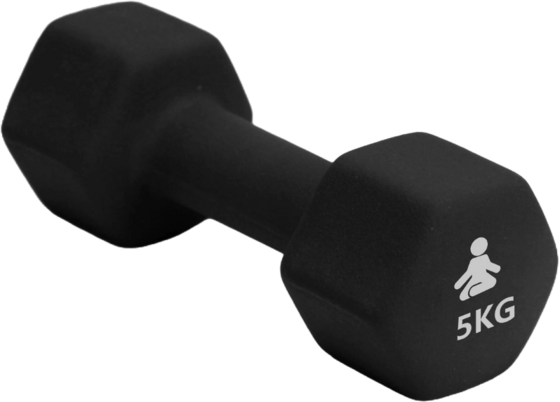 935530101101 FITPADDY Premium Dumbbell 1 X 5 Kg  Standard Detail
