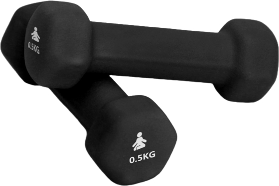 935545101101 FITPADDY Premium Dumbbells 2 X 0.5 Kg  Standard Detail