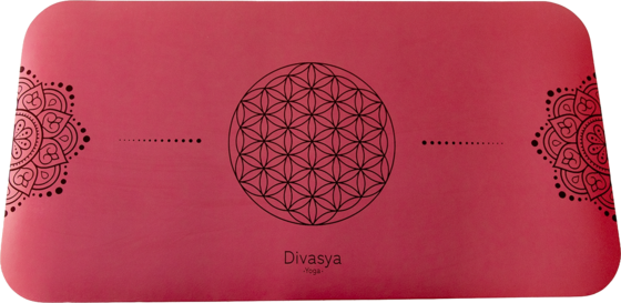 
DIVASYA, 
Professional Grip, 
Detail 1
