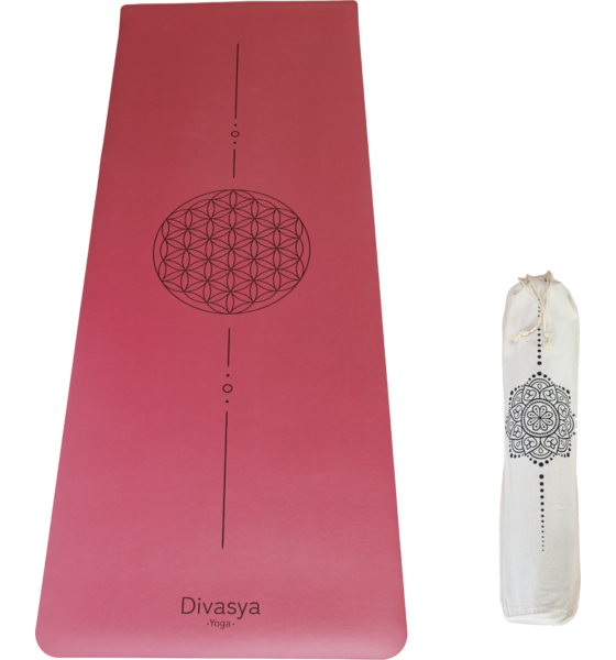 
DIVASYA, 
Professional Grip, 
Detail 1
