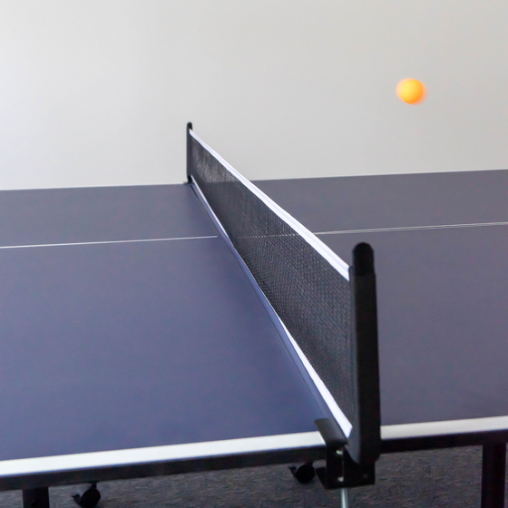 PROSPORT, Prosport Ping Pong Table Official - Folding