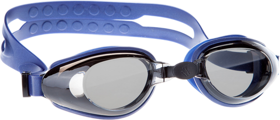 
MAD WAVE, 
Raptor, 
Detail 1
