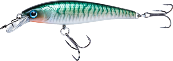 
RENZ-STEIN, 
Renz-stein Beastly Minnow Finesse Stickleback 7,5cm, 8g, 
Detail 1
