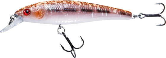 949262101101 RENZ-STEIN Renz-stein Beastly Minnow Smolt 9,5cm, 13g  Standard Detail