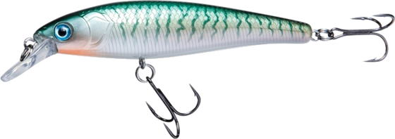 
RENZ-STEIN, 
Renz-stein Beastly Minnow Stickleback 9,5cm, 13g, 
Detail 1
