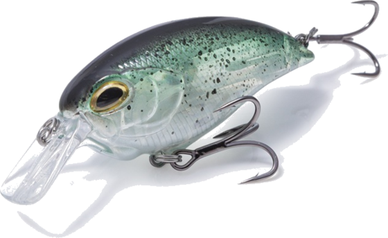 
RENZ-STEIN, 
Renz-stein Beastly Squarebill Baitfish 5cm 10g, 
Detail 1
