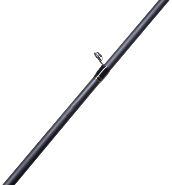 
RENZ-STEIN, 
Renz-stein Beastly Stripe Cast 7,6" 5-25g (multi), 
Detail 2
