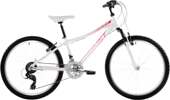 952017101101 ROMET Romet Jolene 24  Standard Detail