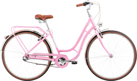 954491101101 ROMET Romet Luiza Classic 26  Standard Detail