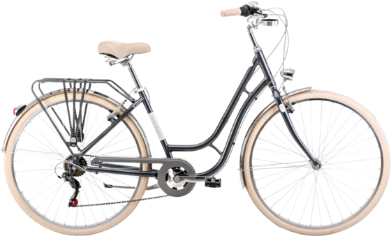 948579101101 ROMET Romet Luiza Eco 26  Standard Detail