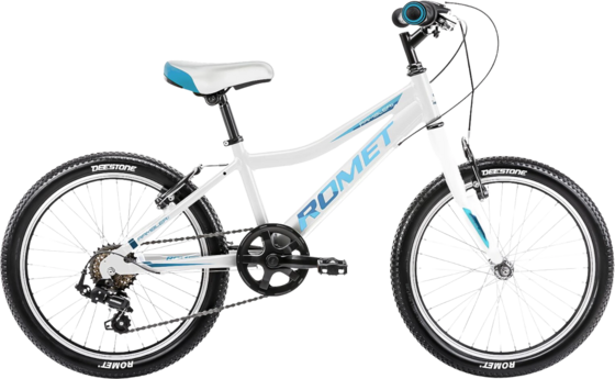 948562101101 ROMET Romet Rambler 20 Kid 1 948562101101 ROMET Romet Rambler 20 Kid 1 Standard Detail