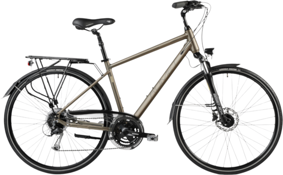 
ROMET, 
Romet Wagant 6, 
Detail 1
