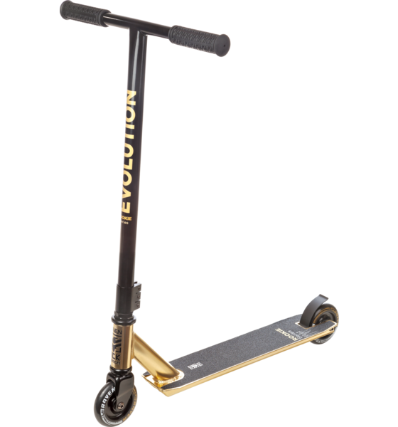 
RAVEN, 
Rookie, 
Detail 1
