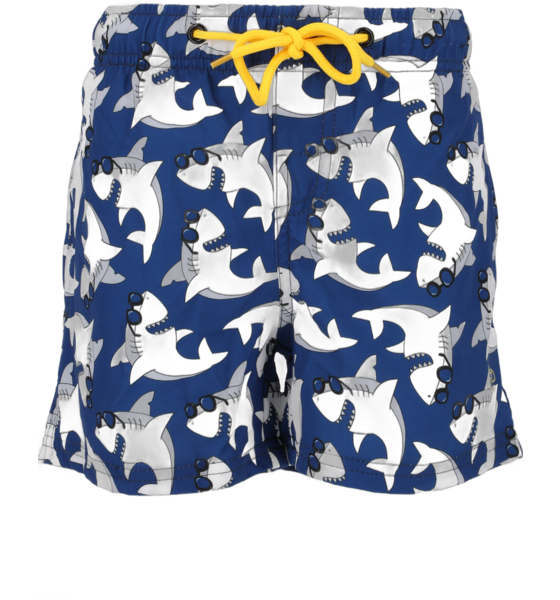 
ZIGZAG, 
Ruben Bathing Shorts, 
Detail 1
