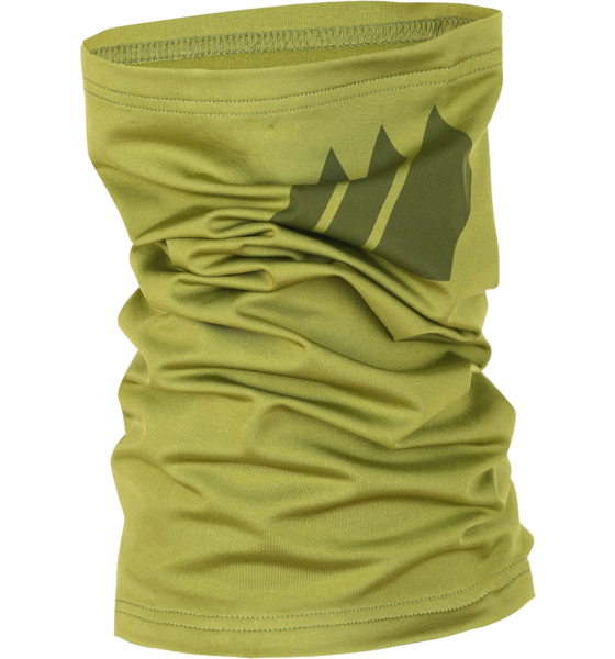 
SKOGSTAD, 
Skjolden, 
Detail 1
