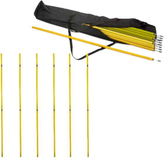 
PRO MATCH, 
Slalomkäpp Med Markspik 170cm 6-pack Inklusive Förvaringsväska, 
Detail 1
