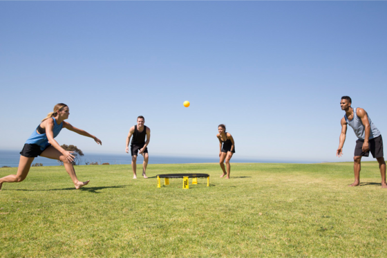 SPIKEBALL, Spikeball Standard Set