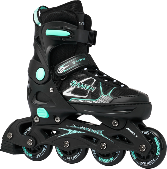 
RAVEN, 
Spirit, 
Detail 1
